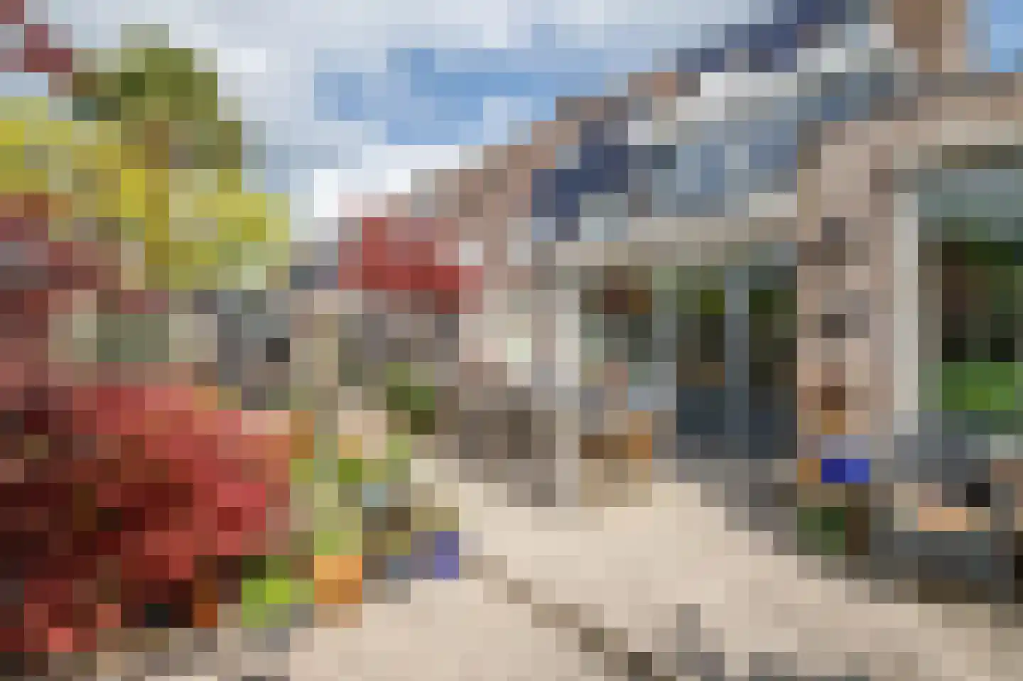 Klaproos 17 Bergambacht thumbnail 4