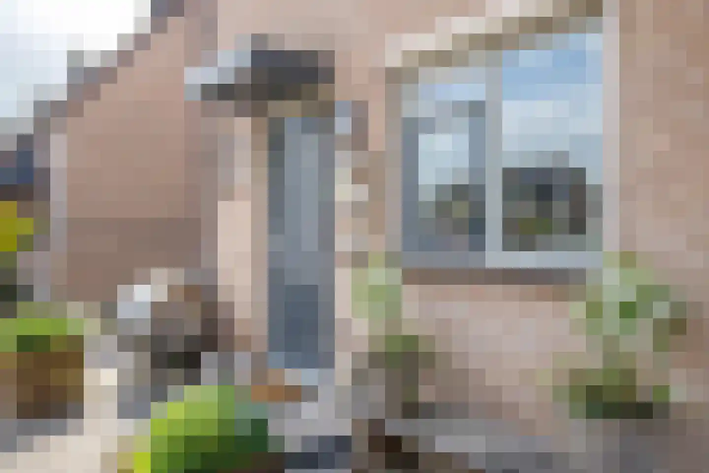 Klaproos 17 Bergambacht thumbnail 7