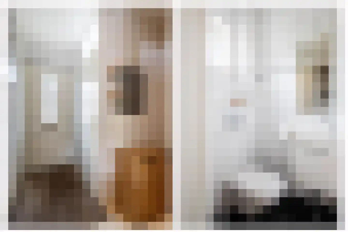 Klaproos 17 Bergambacht thumbnail 8