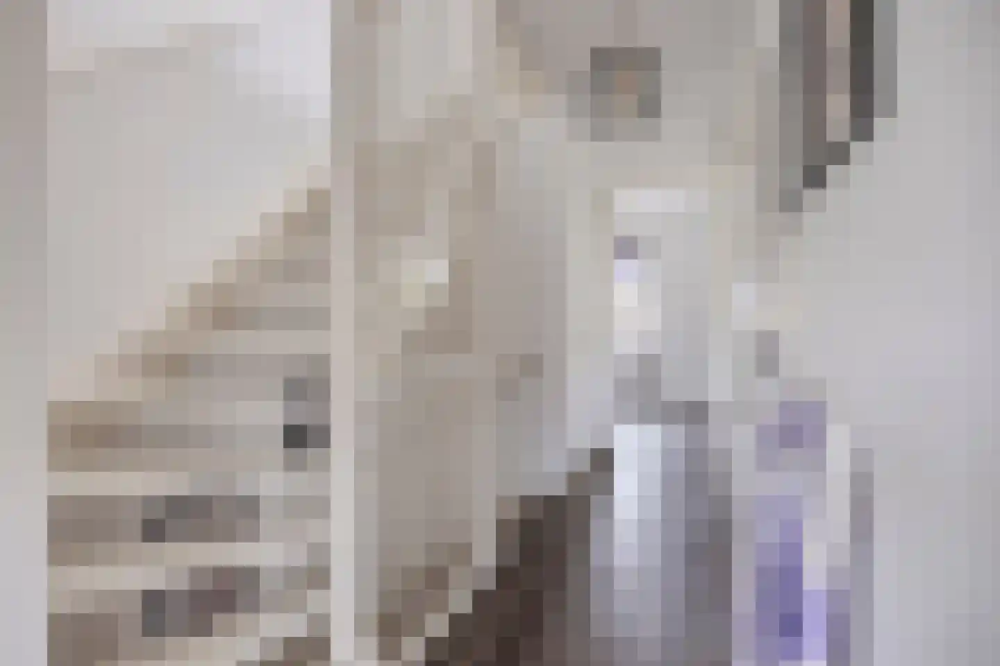 Klaproos 17 Made thumbnail 18