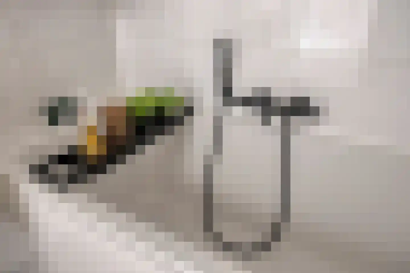 Klaproos 17 Made thumbnail 29