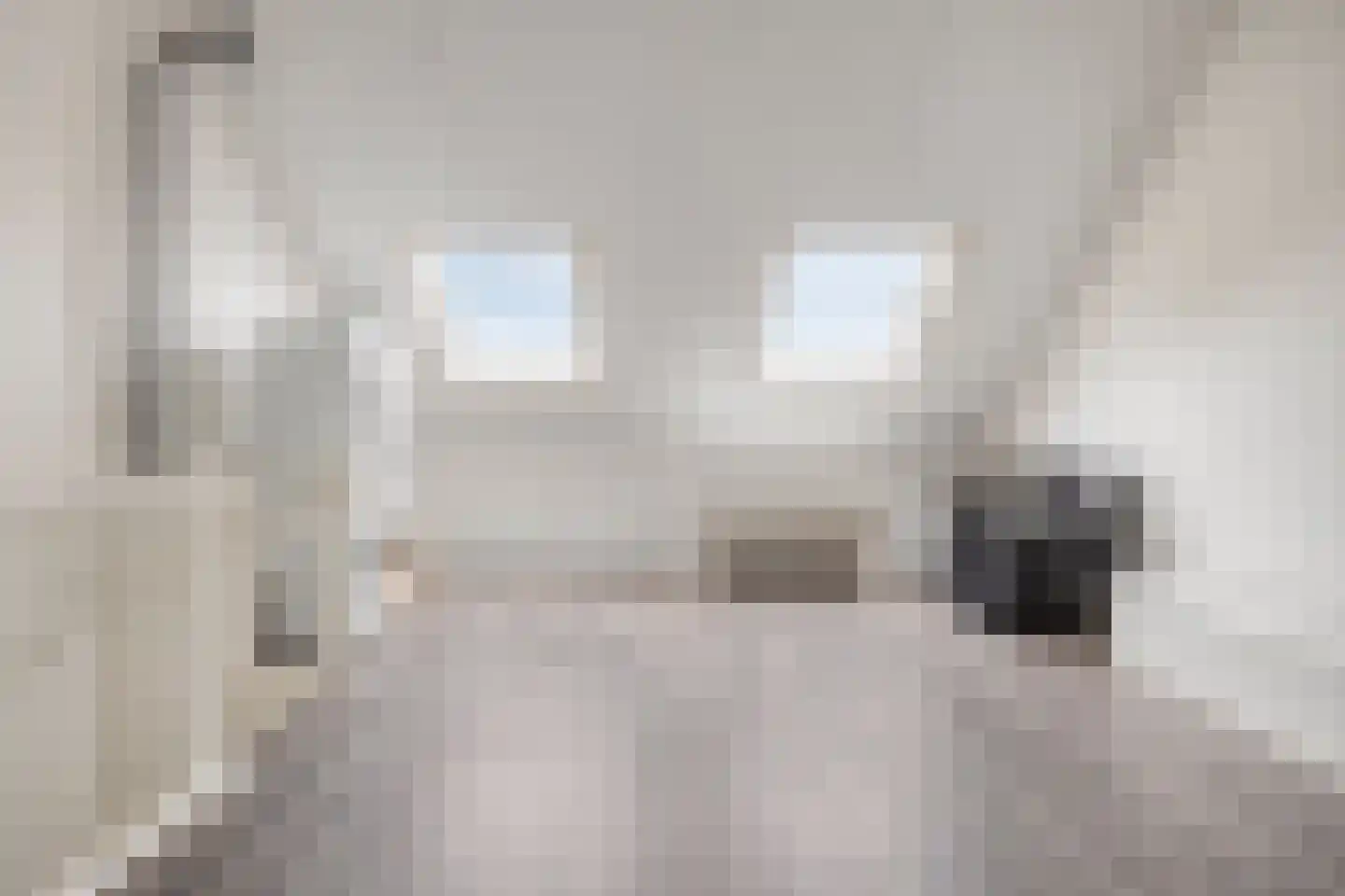 Klaproos 17 Made thumbnail 31