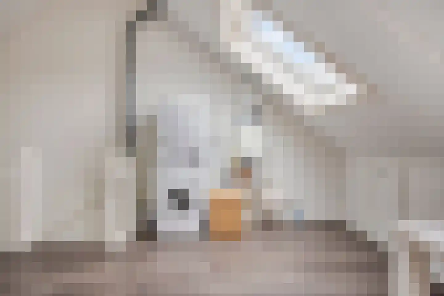 Klaproos 17 Made thumbnail 33