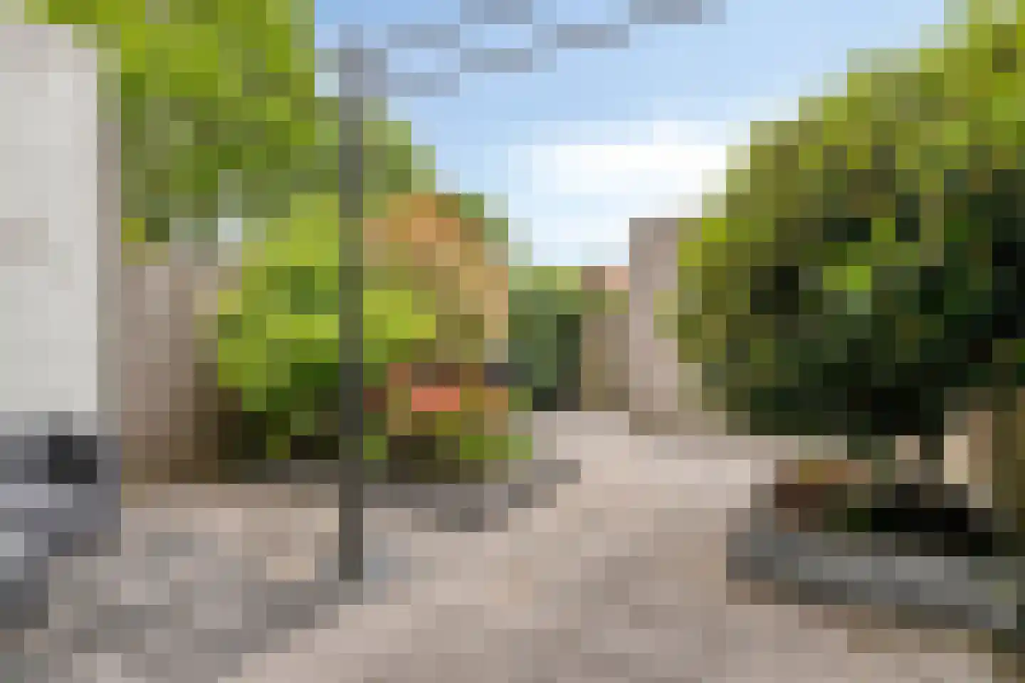Klaproos 17 Made thumbnail 34