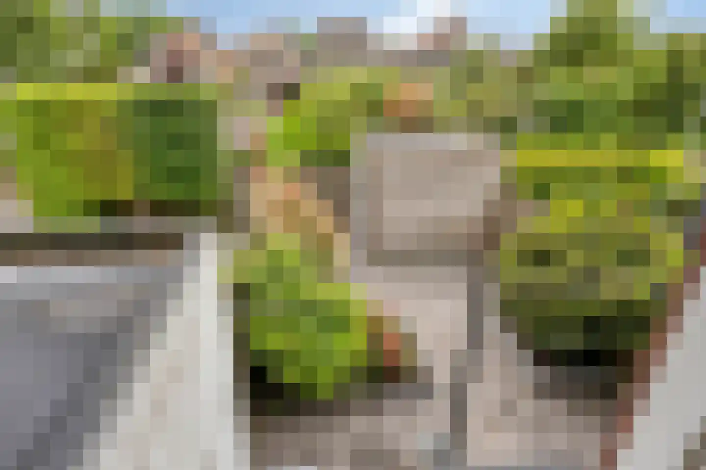 Klaproos 17 Made thumbnail 36
