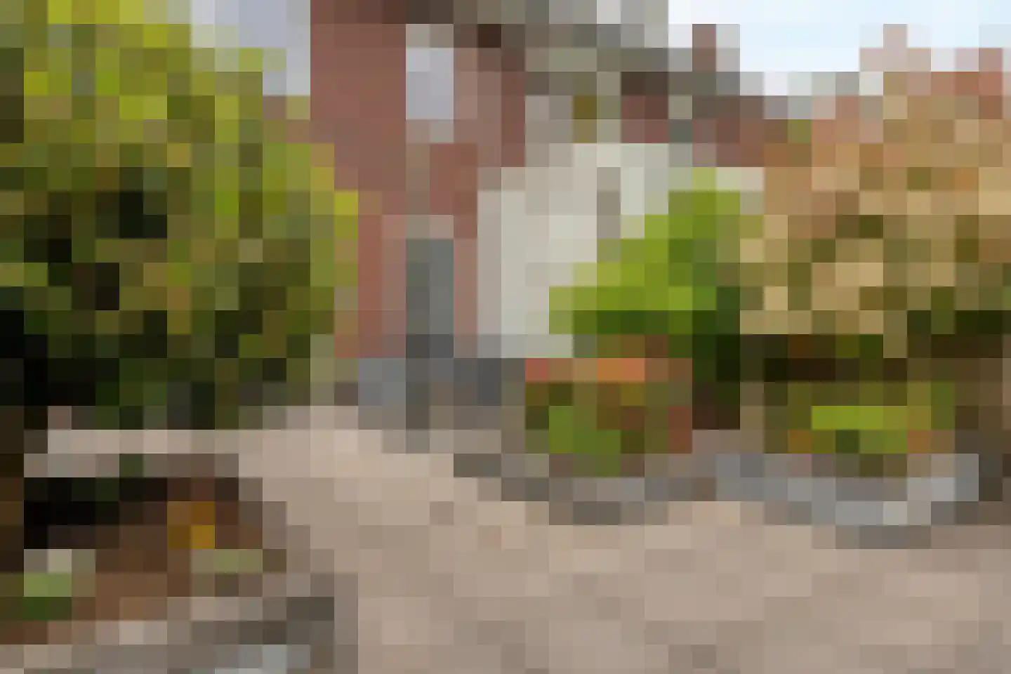 Klaproos 17 Made thumbnail 38