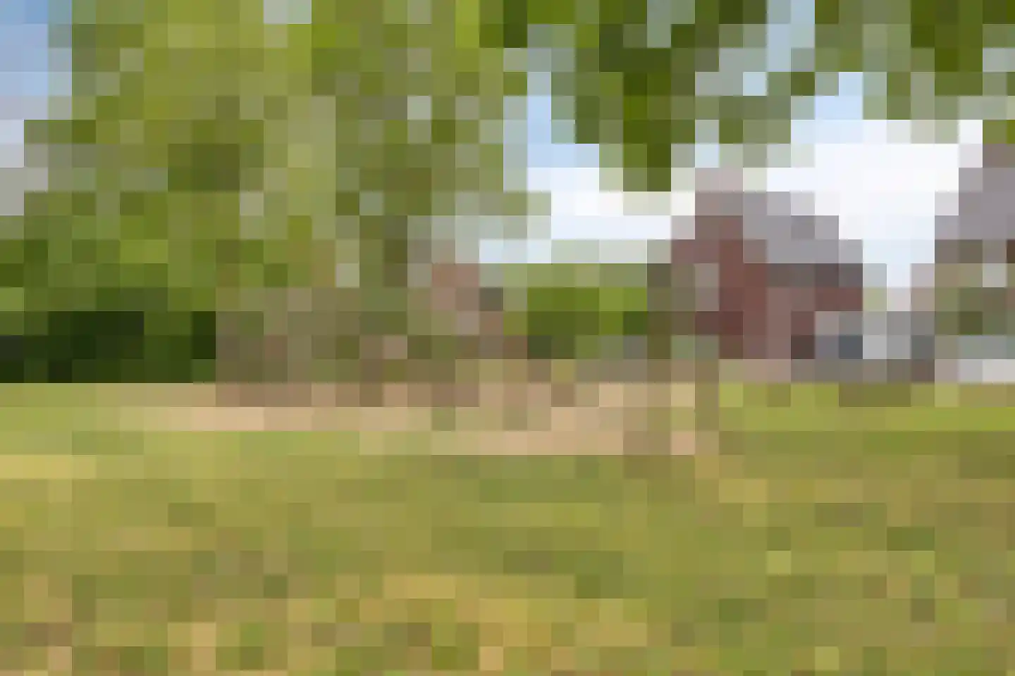 Klaproos 17 Made thumbnail 39