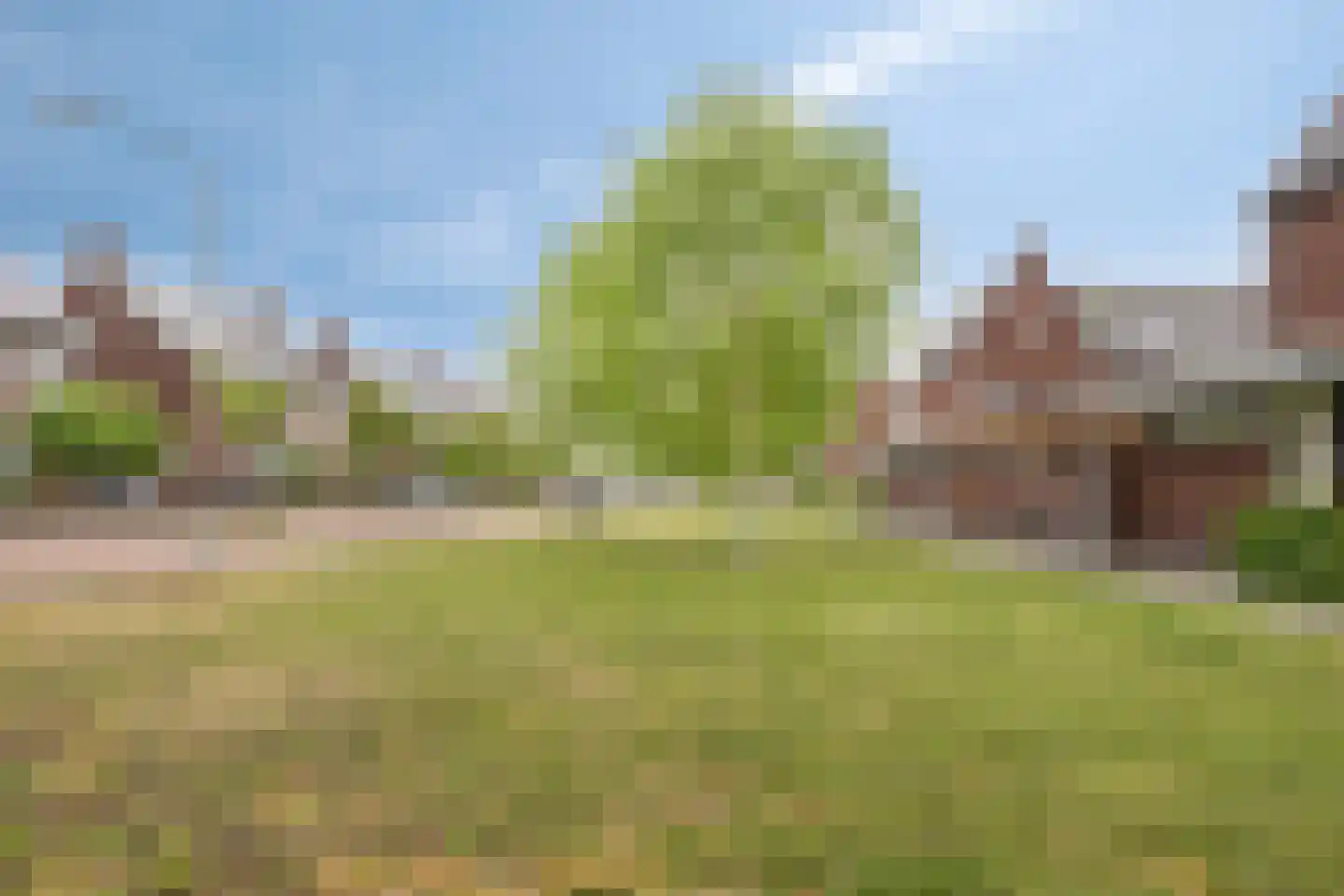 Klaproos 17 Made thumbnail 40