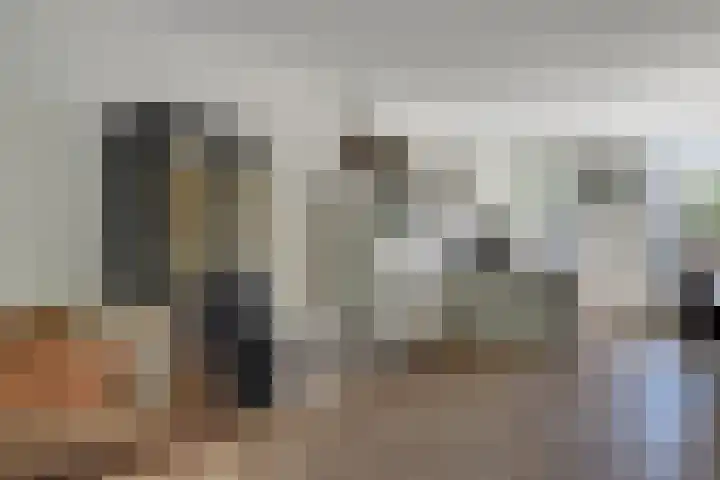 Klaproos 18 Zwaag thumbnail 10
