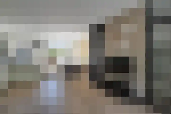 Klaproos 18 Zwaag thumbnail 12