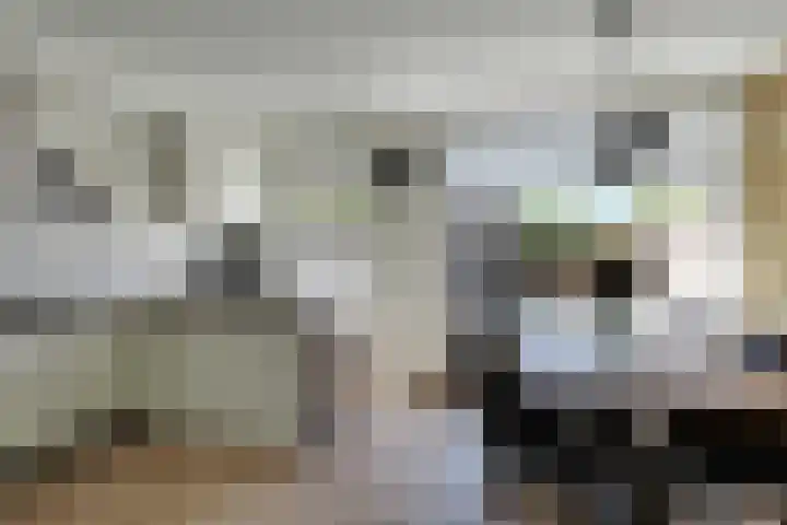 Klaproos 18 Zwaag thumbnail 13