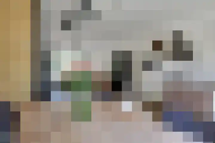 Klaproos 18 Zwaag thumbnail 14