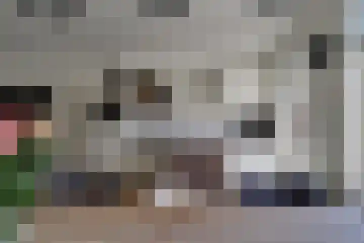 Klaproos 18 Zwaag thumbnail 19