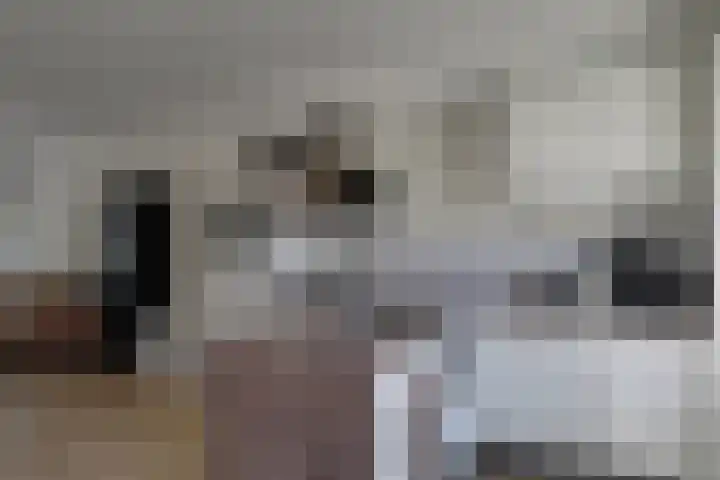Klaproos 18 Zwaag thumbnail 20