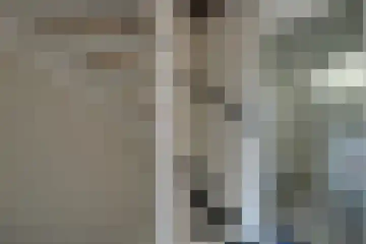 Klaproos 18 Zwaag thumbnail 21