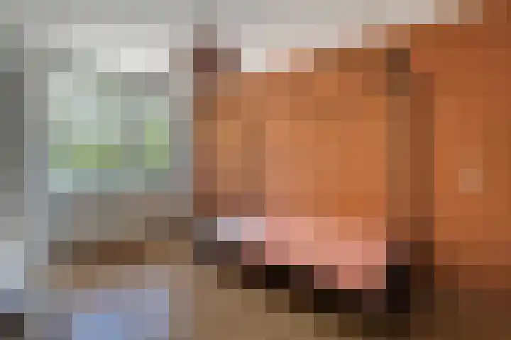 Klaproos 18 Zwaag thumbnail 23