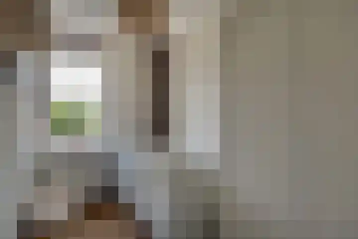 Klaproos 18 Zwaag thumbnail 27