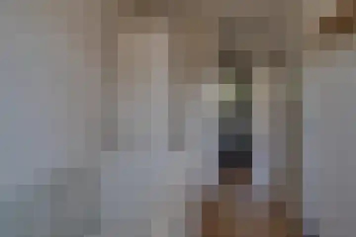 Klaproos 18 Zwaag thumbnail 28