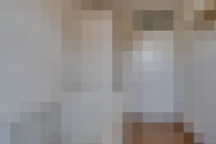 Klaproos 18 Zwaag thumbnail 29