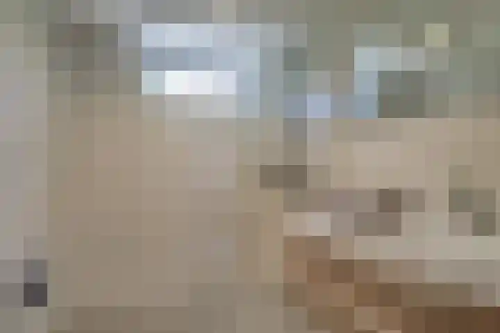 Klaproos 18 Zwaag thumbnail 31