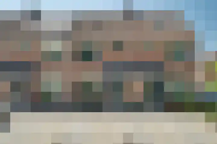Klaproos 18 Zwaag thumbnail 4