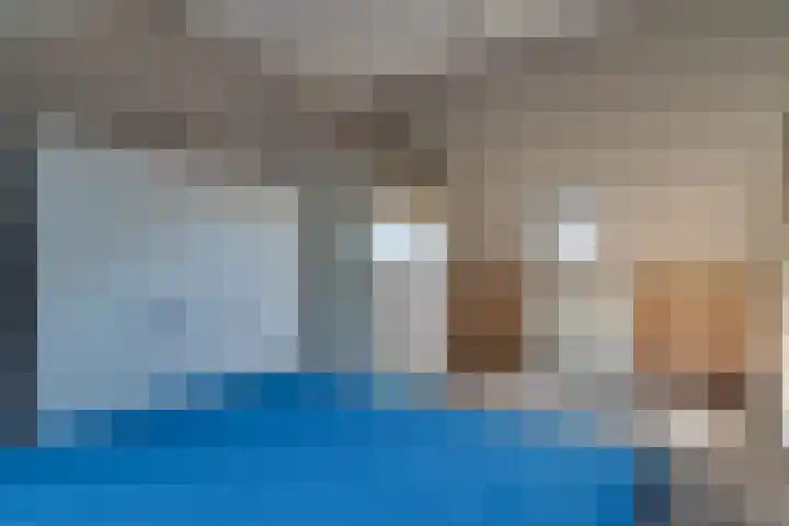 Klaproos 18 Zwaag thumbnail 42