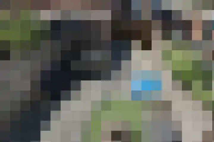 Klaproos 18 Zwaag thumbnail 44