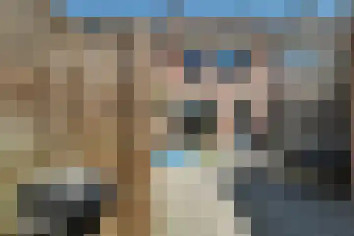 Klaproos 18 Zwaag thumbnail 45