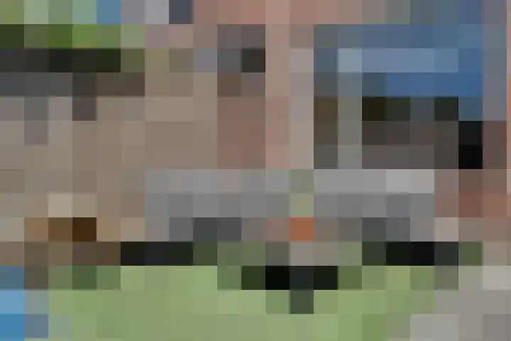 Klaproos 18 Zwaag thumbnail 46