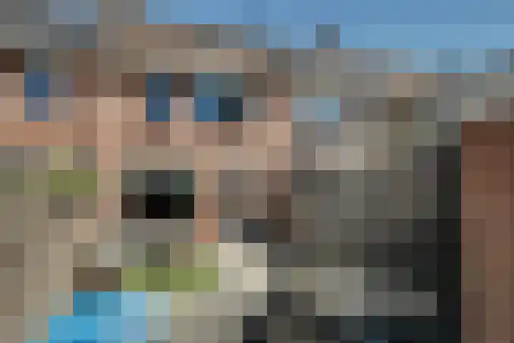 Klaproos 18 Zwaag thumbnail 47