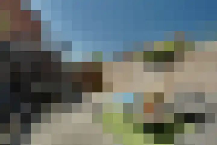 Klaproos 18 Zwaag thumbnail 49