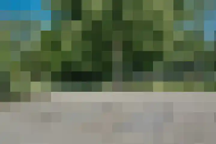 Klaproos 18 Zwaag thumbnail 51