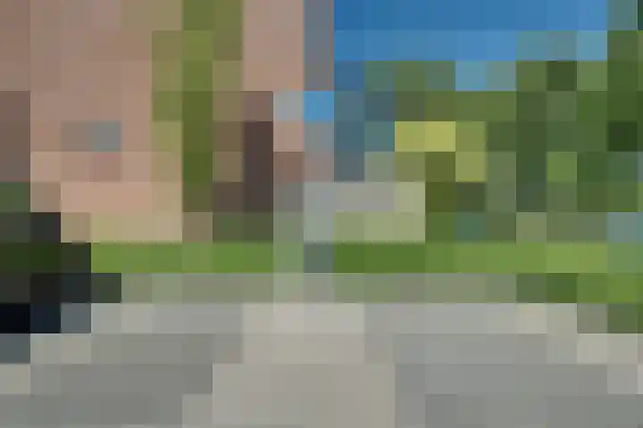 Klaproos 18 Zwaag thumbnail 52