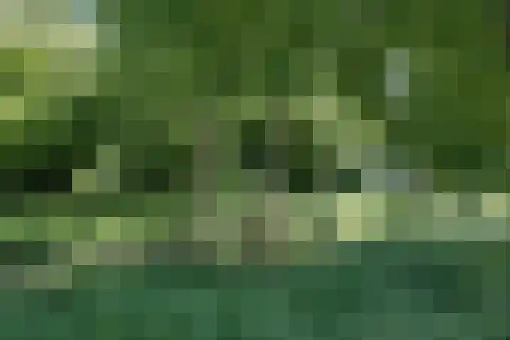 Klaproos 18 Zwaag thumbnail 55
