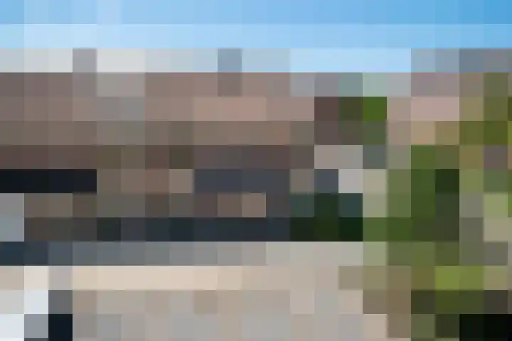 Klaproos 18 Zwaag thumbnail 68