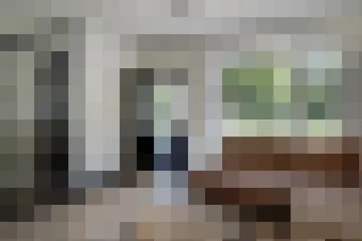 Klaproos 18 Zwaag thumbnail 9