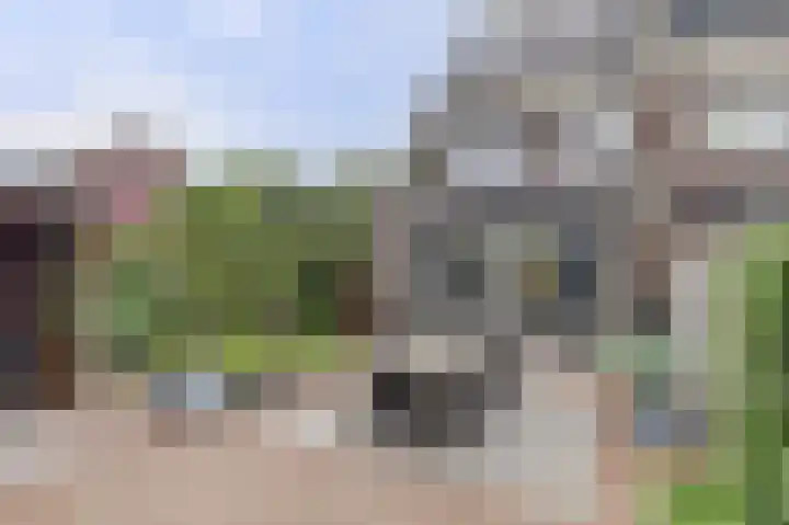 Klaproos 19 Gorinchem thumbnail 32