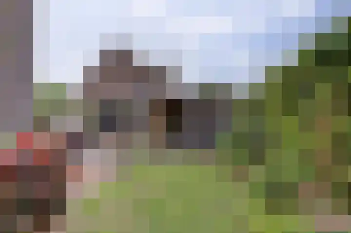Klaproos 19 Gorinchem thumbnail 34