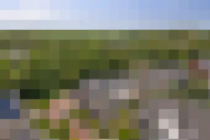 Klaproos 19 Gorinchem thumbnail 36