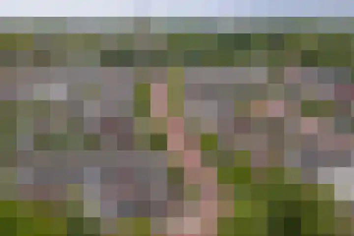 Klaproos 19 Gorinchem thumbnail 37