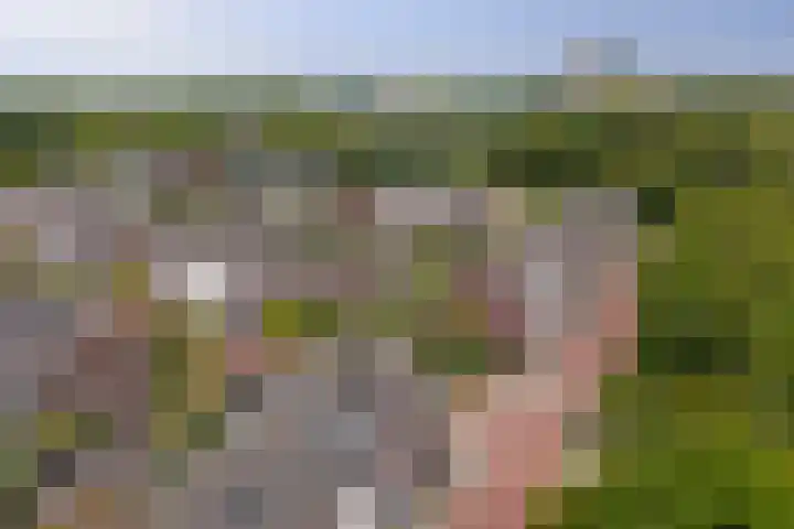 Klaproos 19 Gorinchem thumbnail 38