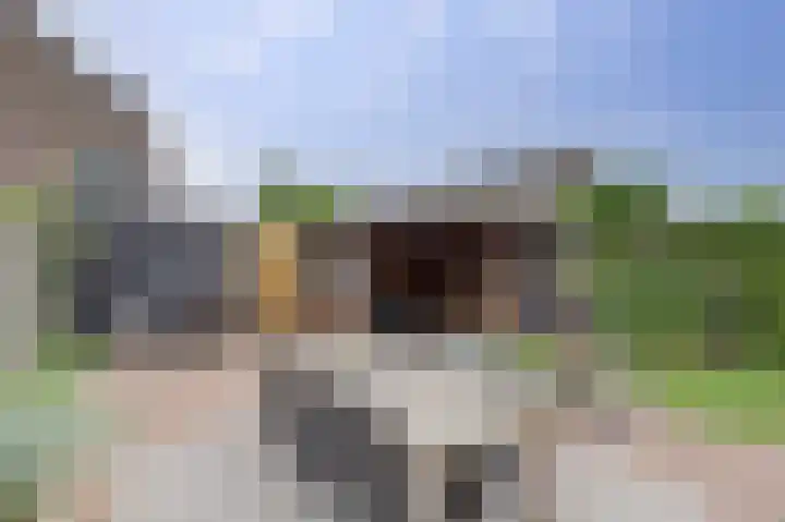 Klaproos 19 Gorinchem thumbnail 4