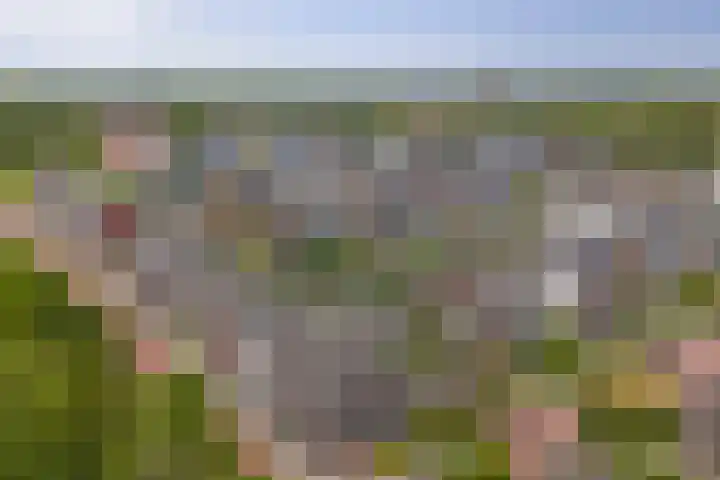 Klaproos 19 Gorinchem thumbnail 6