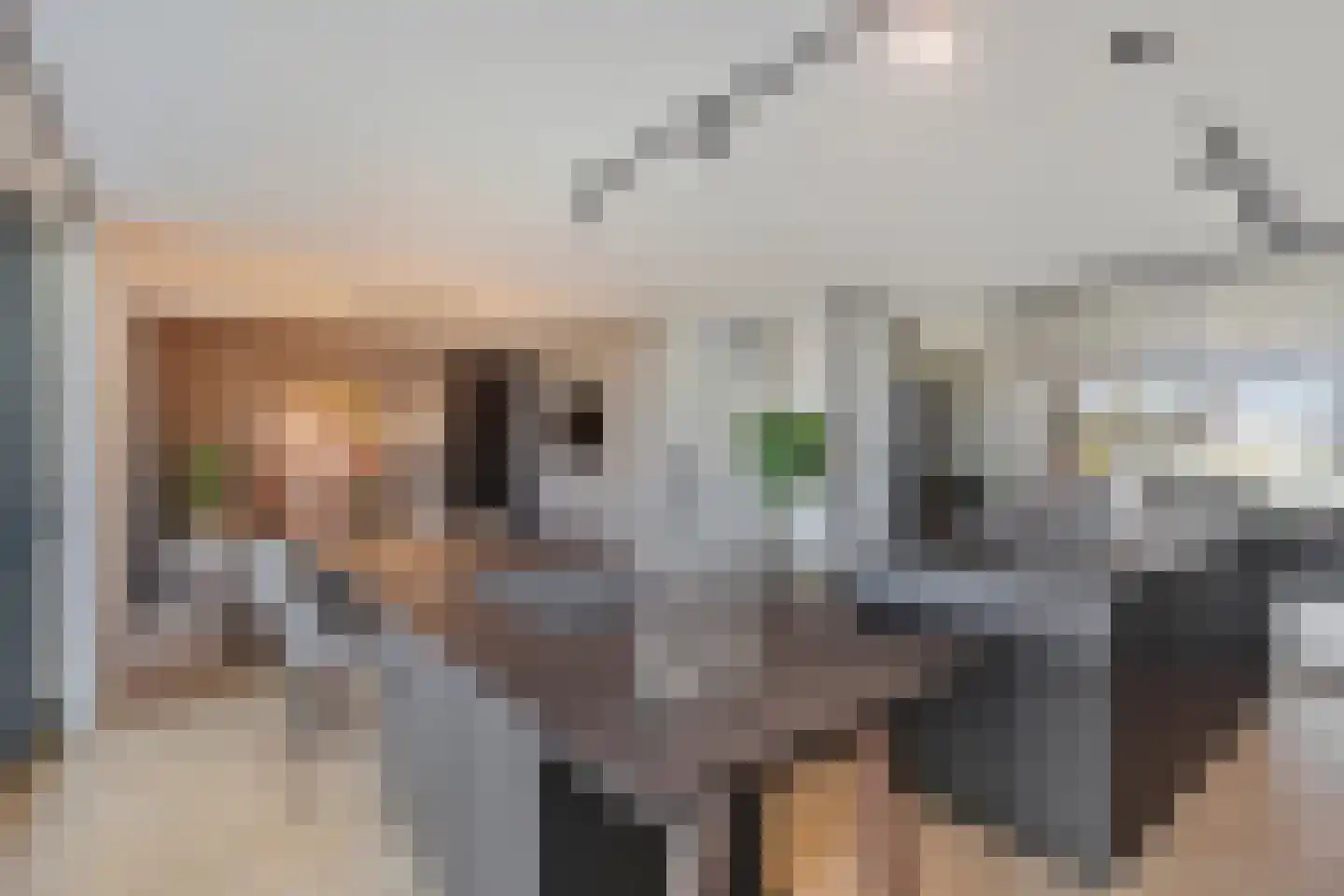 Klaproos 19 Heerlen thumbnail 12