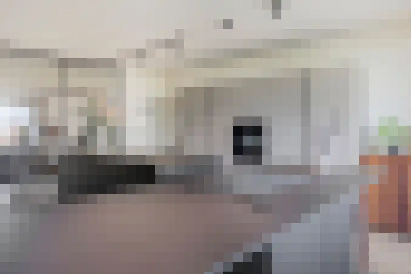 Klaproos 19 Heerlen thumbnail 13