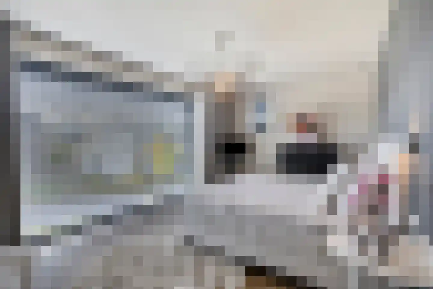 Klaproos 19 Heerlen thumbnail 20