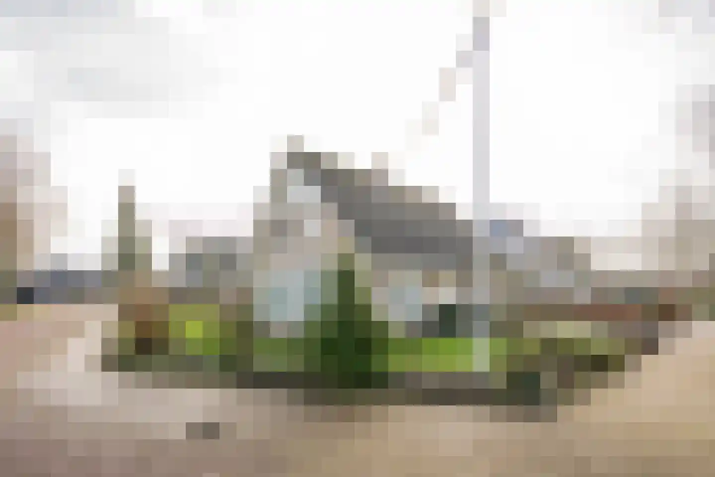 Klaproos 19 Nijkerk
