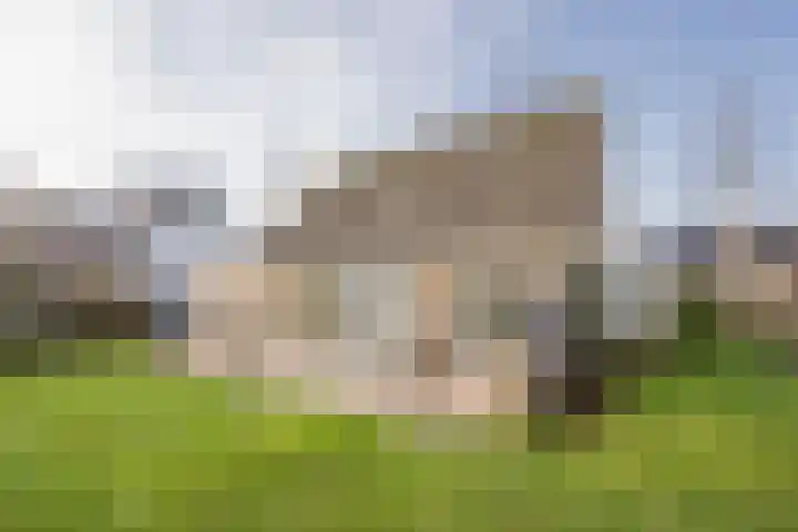 Klaproos 19 Nijkerk thumbnail 10
