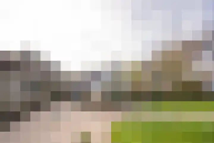 Klaproos 19 Nijkerk thumbnail 11