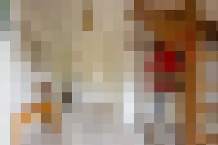 Klaproos 19 Nijkerk thumbnail 14